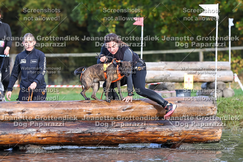 Dog Paparazzi - Strongdog 10-25-8249 | Dog Paparazzi Jeanette Grottendiek Fotografie & Videografie - Realisiert mit Pictrs.com