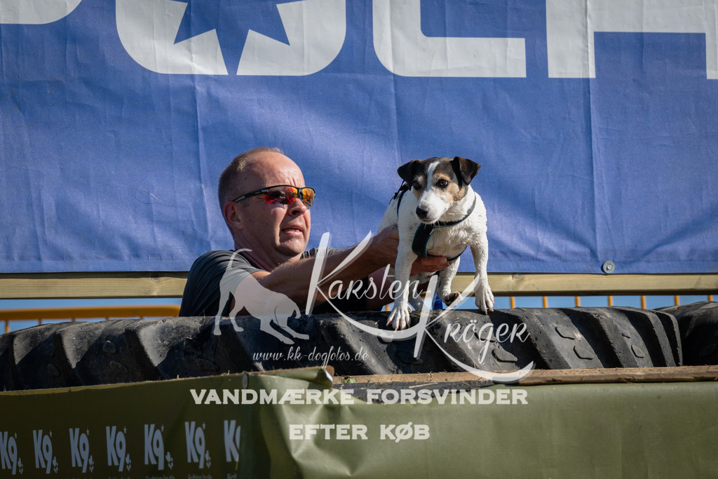 1008_ZZ97627 | kk-dogfotos