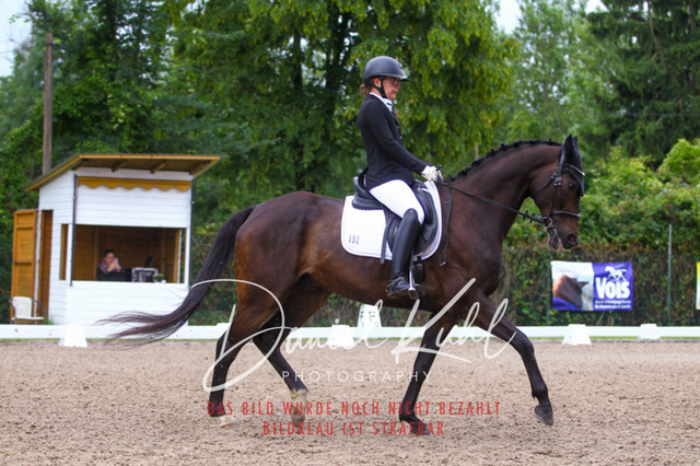 DKP41776 | Turniersportfotografie; Pferdefotografie; Dressurfotografie