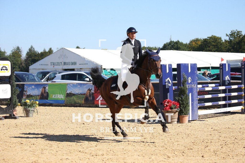 DL2Q2765 | Willkommen bei Brunnmayr - Design & Fotografie – Ihrem Spezialisten für Reitturniere und Pferdeveranstaltungen in Oberösterreich, Salzburg und Bayern! Seit über 17 Jahren sind wir leidenschaftlich dabei.