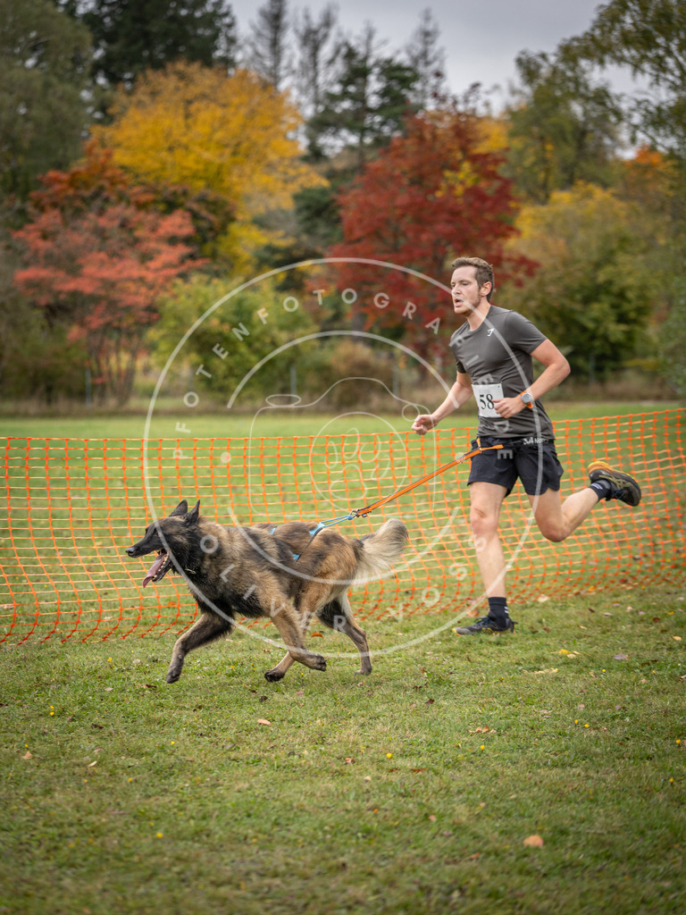 Pfotenfotografie_DV3A2618 | Hundefotografie, Tierfotograf, Pfotenfotografie, Fotoshooting Hund, Hunde Portrait, Hundesport, Hundeportraits, Heideshooting, Hunde, Sportfotograf, Hundefotograf, Turnierhundsport, THS,  - Realisiert mit Pictrs.com