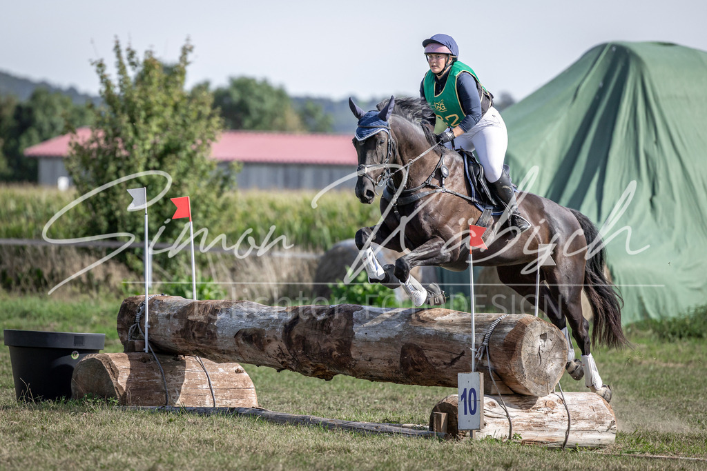20250907-_3LI2263 | Tierfotografie Pferde, Hunde, Katzen, Haustiere.
Turnierfotografie Reitturniere, Reiten, Springreiten, Dressur in Hanau, dem Main-Kinzig-Kreis und dem Rhein-Main- Gebiet um Frankfurt