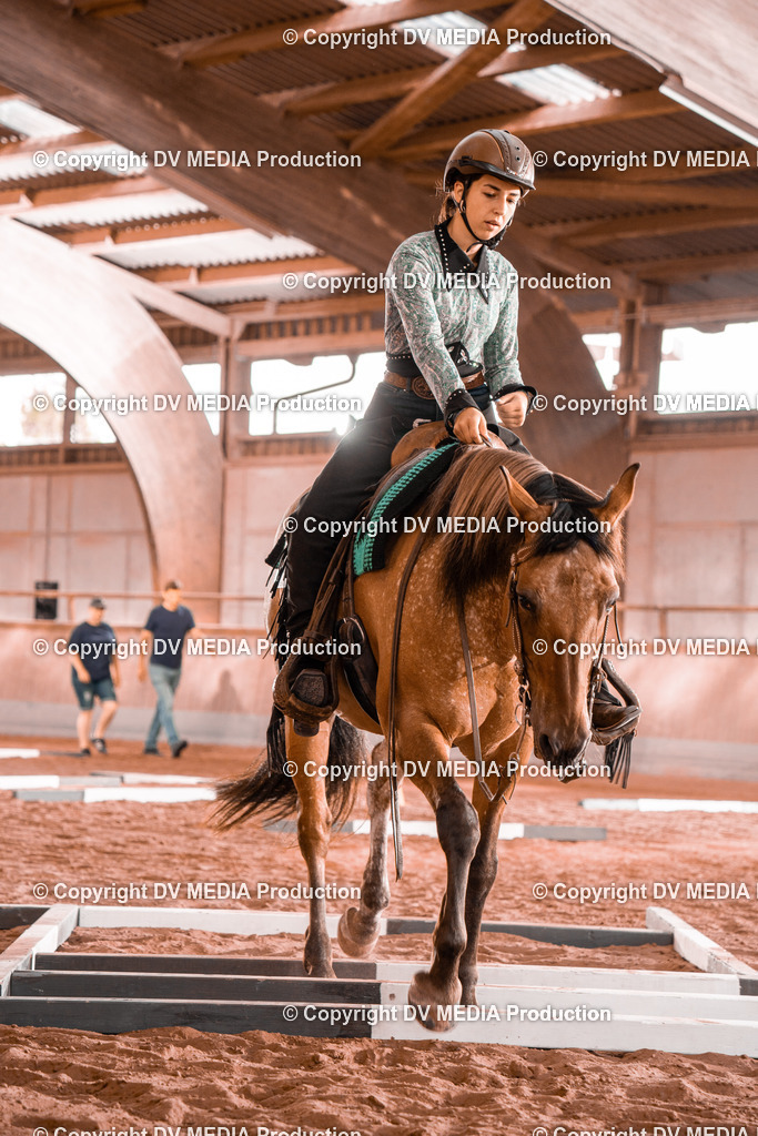 NE300073 | dv-media-shop - Realisiert mit Pictrs.com