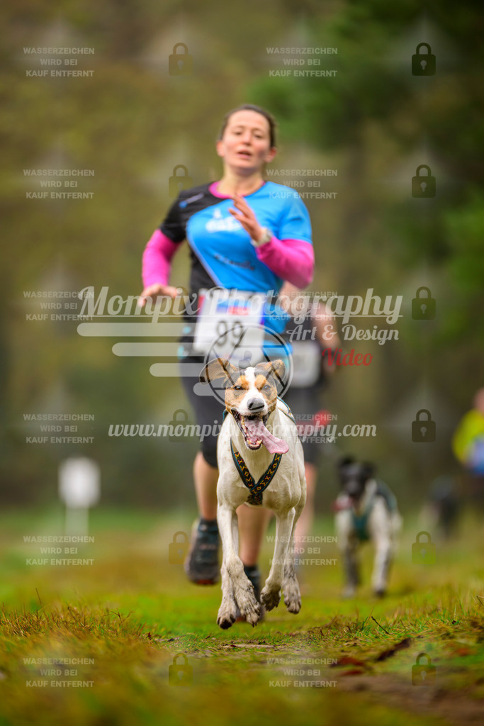 MompixPhotography_Bischwiller2025_Canicross-23 | mompixphotography