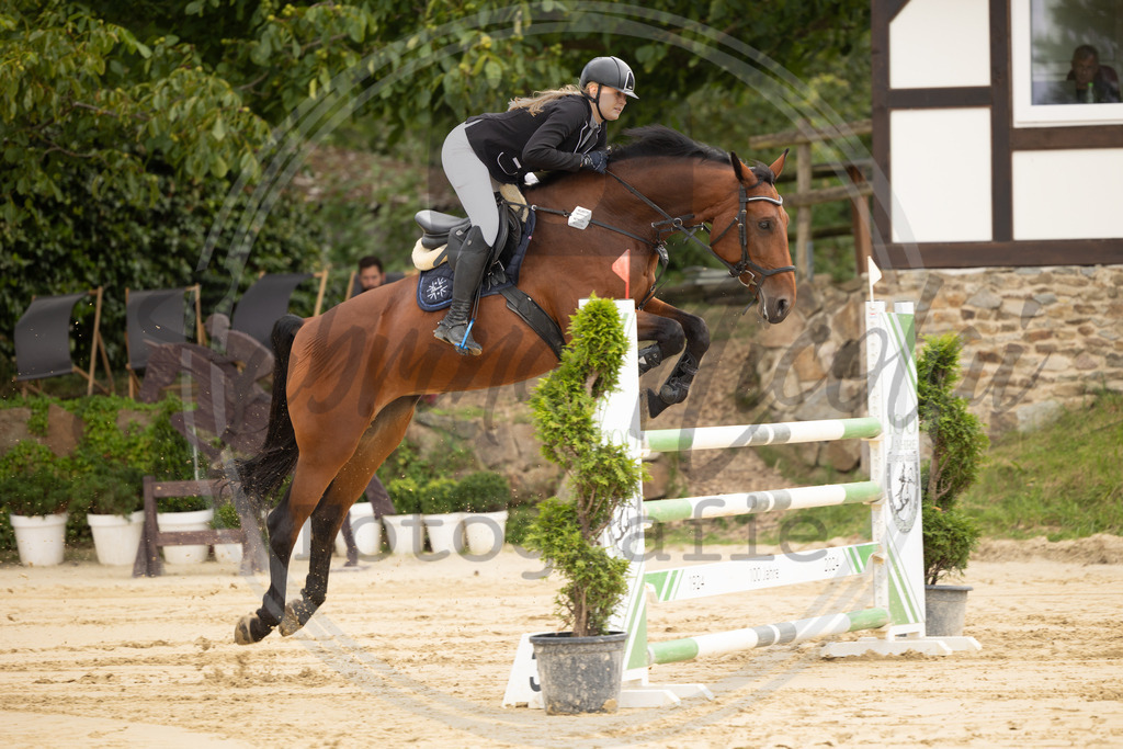 994A9256 | sabrinanicolaifotografie - Realisiert mit Pictrs.com