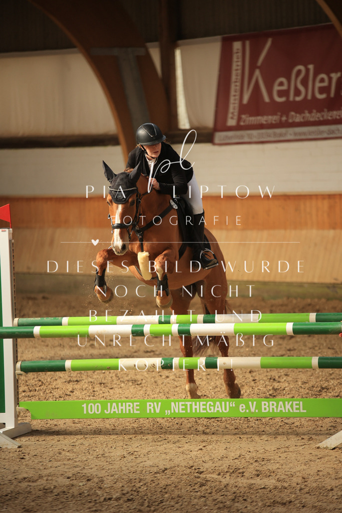 IMGT6192 | pl-fotografie