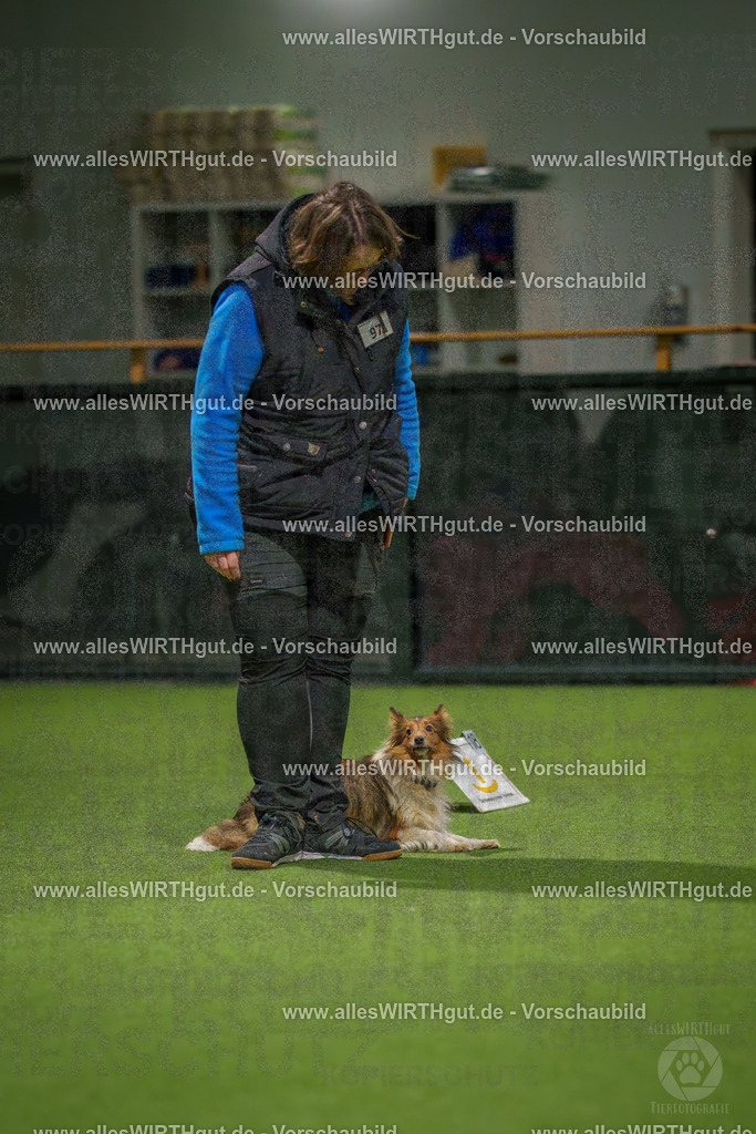 7R509145 | Professionelle Tierfotografie in Mönchengladbach von Daniel Wirth (allesWIRTHgut). Liebevolle & natürliche Bilder von Hunden & Katzen für unvergessliche Erinnerungen.