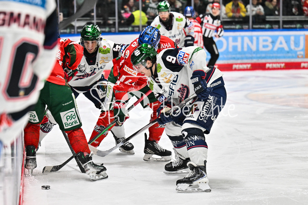 Augsburger Panther - Eisbären Berlin | AUGSBURG, GERMANY - 27. JANUARY: an der Bande kämpfen D. J. BUSDEKER (Augsburger Panther 14) und Ty RONNING (Eisbären Berlin 9) um den Puck während dem Match zwischen den Augsburger Panthern und den Fischtown Pinguins am 43. Spieltag der Penny DEL im Curt Frenzel Stadion