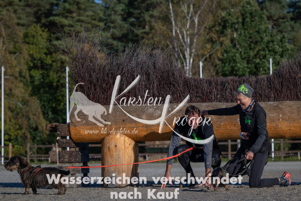 1020-_ZZ90795 | kk-dogfotos