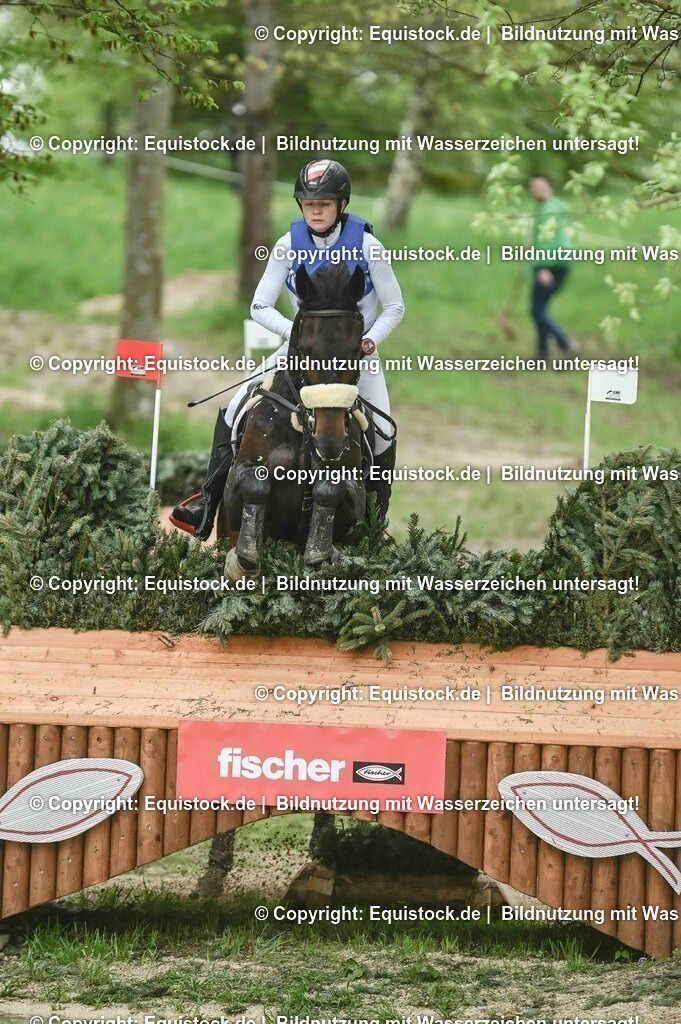 20230513_CCI4_Gelände_0281 | equistock