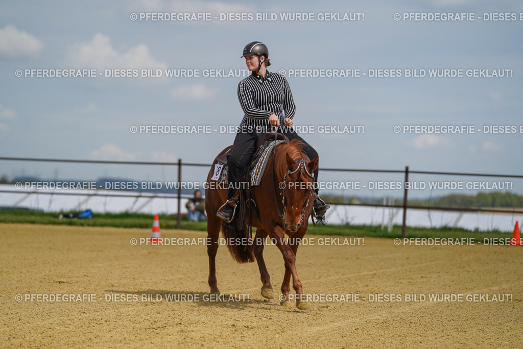 DSC05554 | Pferdegrafie