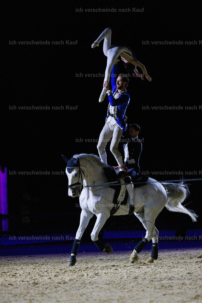 FHClassics-227 | working equitationturnier fotograf videograf stoibphotography marixx film working equitation deutschland reitsport turnierfotografie eventfotografie equestrian events