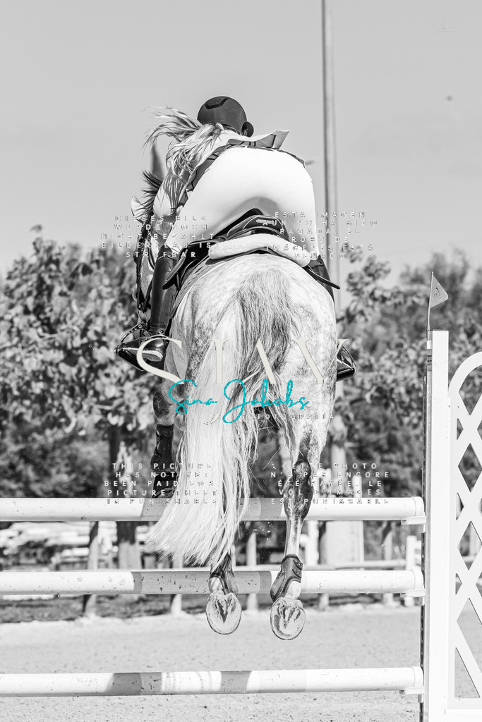 IMG_0772 | s-jay-photography - Realized with Pictrs.com