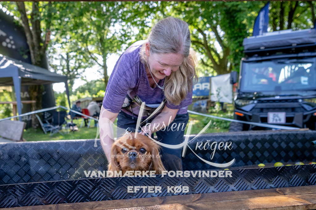 1532_ZZ91705 | kk-dogfotos