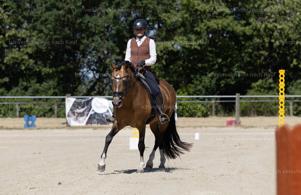 WE_Trail_23_KerstinBernhardt-4 | working equitationturnier fotograf videograf stoibphotography marixx film working equitation deutschland reitsport turnierfotografie eventfotografie equestrian events