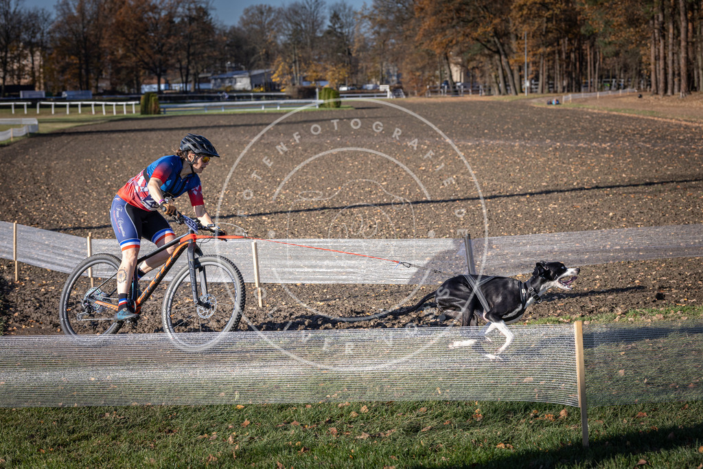 CaniXpix_DV3A3926 | Hundefotografie, Tierfotograf, Pfotenfotografie, Fotoshooting Hund, Hunde Portrait, Hundesport, Hundeportraits, Heideshooting, Hunde, Sportfotograf, Hundefotograf, Turnierhundsport, THS,  - Realisiert mit Pictrs.com