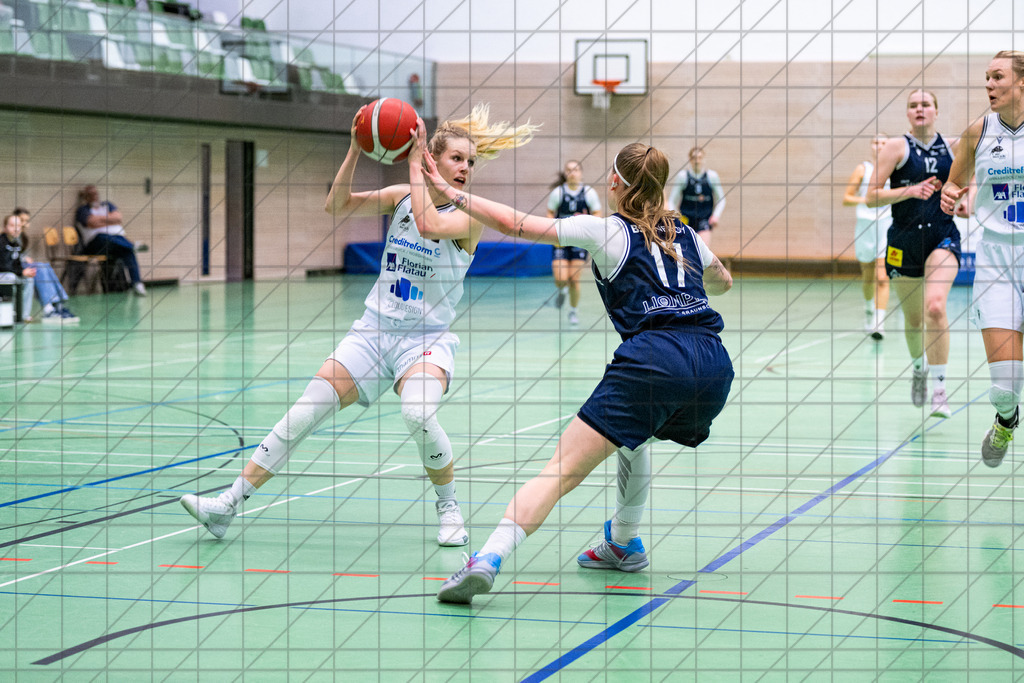 2. DBBL Nord 25/26 | Spieltag 08 | BBC Osnabrück vs. LionPride Braunschweig | 16.11.25: 2. DBBL Nord 25/26 | Spieltag 08 | BBC Osnabrück vs. LionPride Braunschweig / Osnabrück / Deutschland  //   CREDIT:www.bullenfotos.de, Martin König, Hörner Weg 40, D-49078 Osnabrück, +4917663732967 // Nutzung und Weitergabe nur zu den vereinbarten Zwecken. Presseanfragen an Ersteller. Alle Rechte beim Ersteller. Honorierung nach MFM. - Realisiert mit Pictrs.com