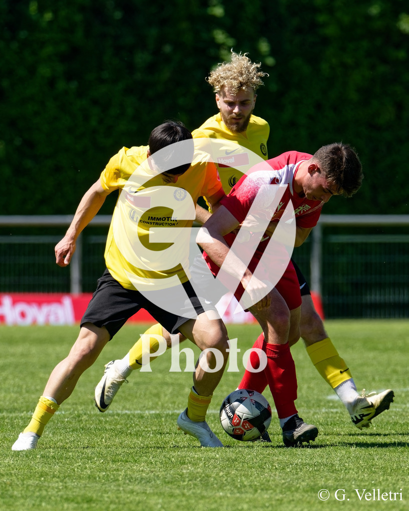 DSC_7681 | Velletri Photo