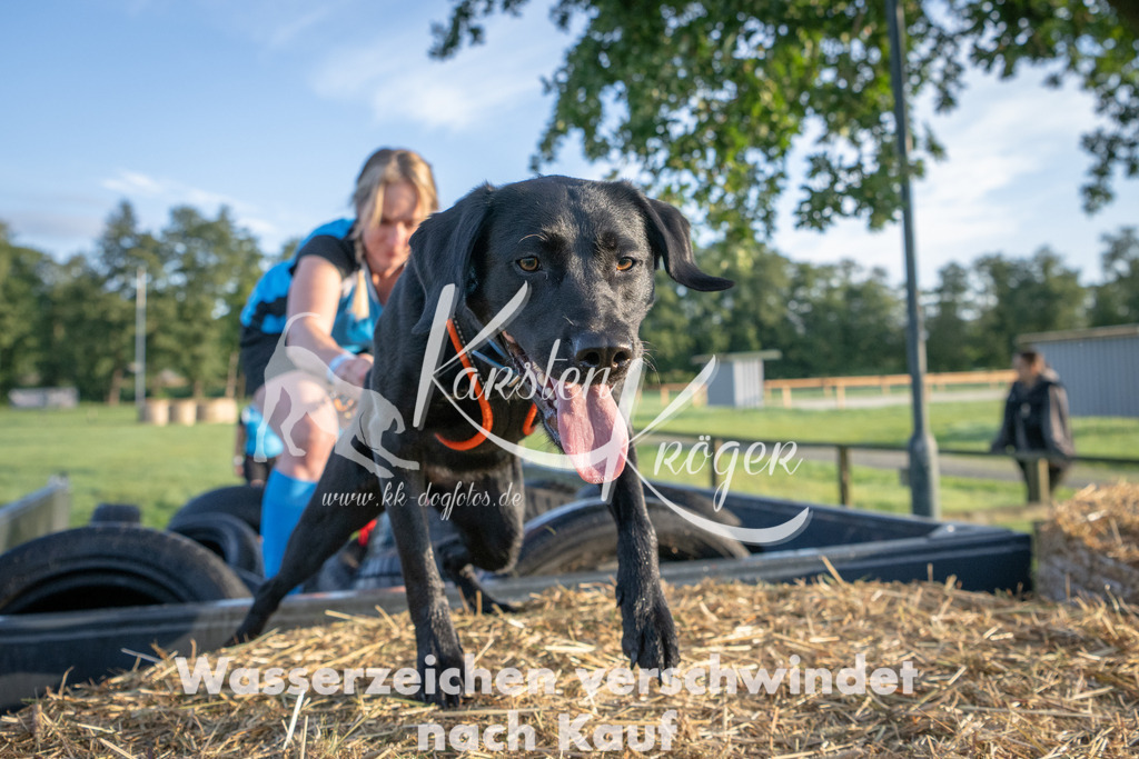 0818_ZZ90950 | kk-dogfotos