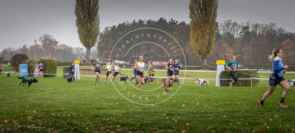 CaniXpix_DV3A8847 | Hundefotografie, Tierfotograf, Pfotenfotografie, Fotoshooting Hund, Hunde Portrait, Hundesport, Hundeportraits, Heideshooting, Hunde, Sportfotograf, Hundefotograf, Turnierhundsport, THS,  - Realisiert mit Pictrs.com