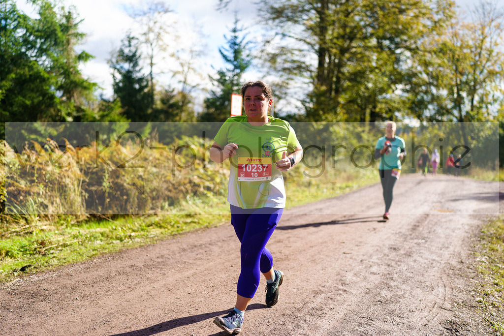 Herbstlauf 2024 | Rennsteig-Herbstlauf von Neuhaus am Rennweg nach Masserberg am 6. Oktober 2024