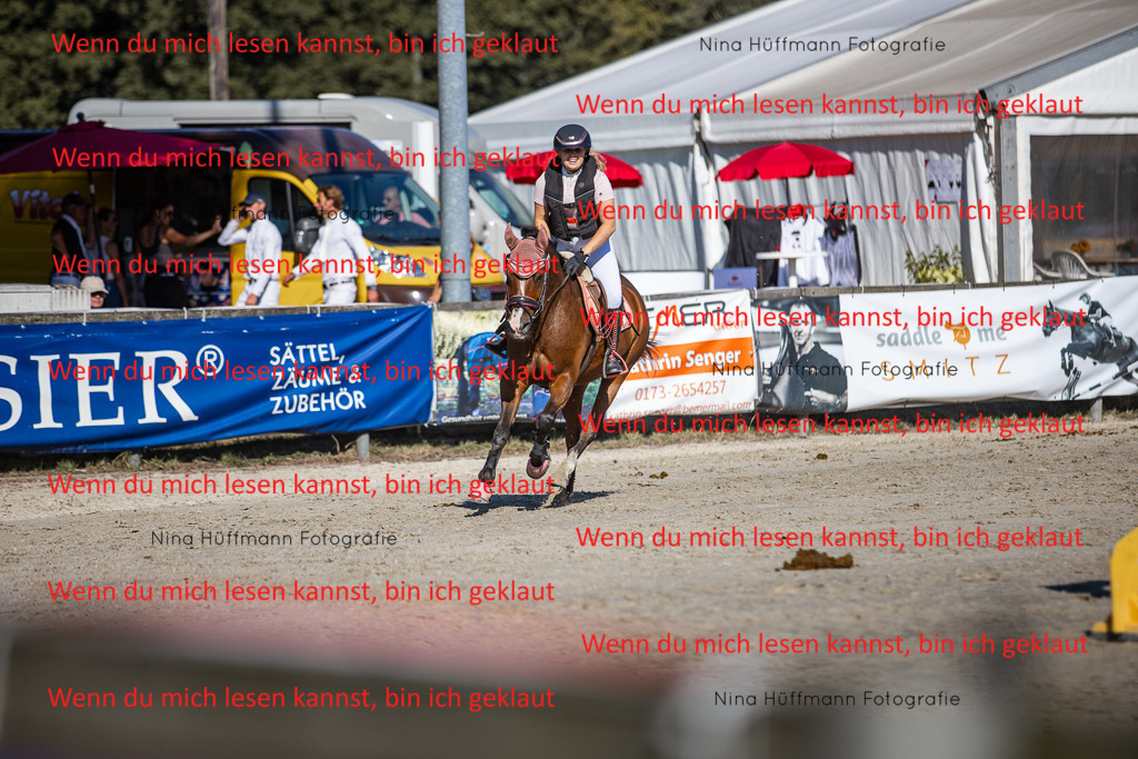 BK1A8098 | Turnierbilder Turnierfotos Nina Hüffmann Turnierfotografie Pferdefotografie Tierzeichnung Haustierzeichnung Pferdezeichnung Hundezeichnung Videograf  - Realisiert mit Pictrs.com