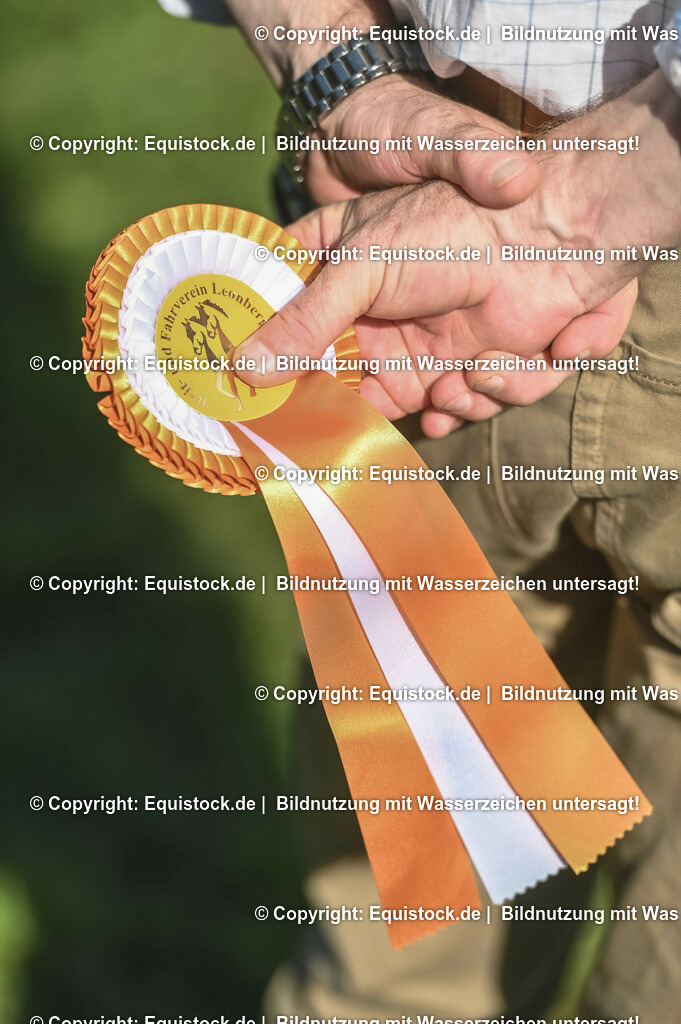 20230908_24_Springen_M_0082 | equistock