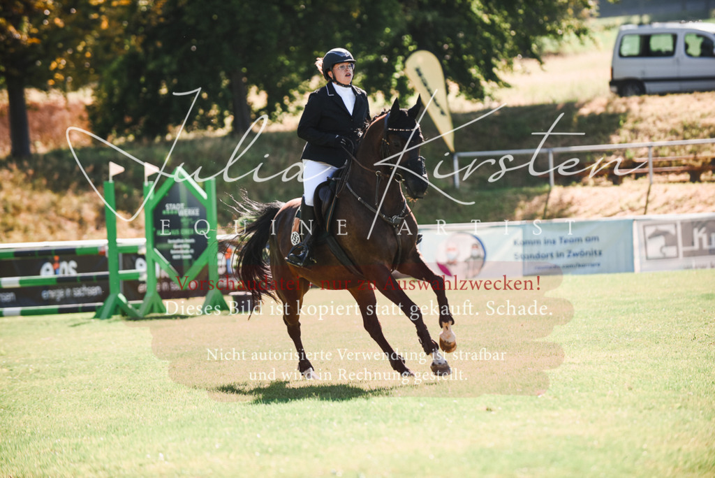 DSC_2525 | Pferde- und Turnierfotografie in Westsachsen. Pferdeportraits, Auftragszeichnungen und intuitive Kunst.