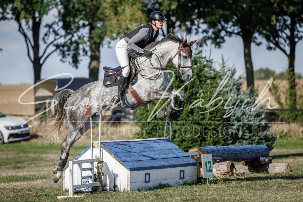 20260905-_3LI0426 | Tierfotografie Pferde, Hunde, Katzen, Haustiere.
Turnierfotografie Reitturniere, Reiten, Springreiten, Dressur in Hanau, dem Main-Kinzig-Kreis und dem Rhein-Main- Gebiet um Frankfurt