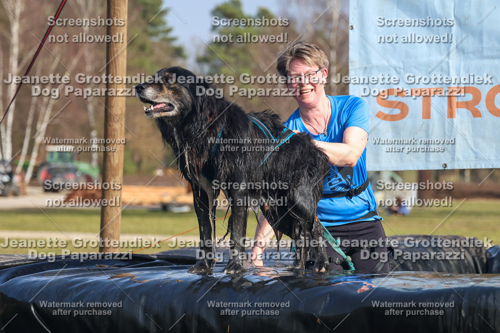 Dog Paparazzi - Strongdog North Mrz26-2823 | Dog Paparazzi Jeanette Grottendiek Fotografie & Videografie - Realisiert mit Pictrs.com