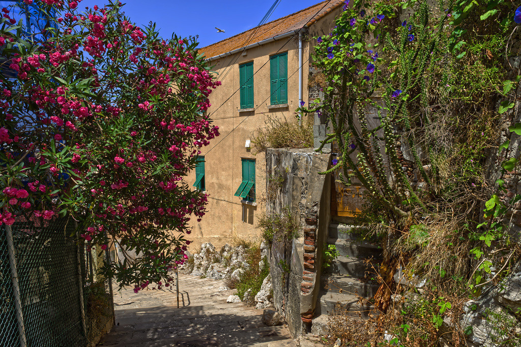 1H5A3053 | ansichtssache