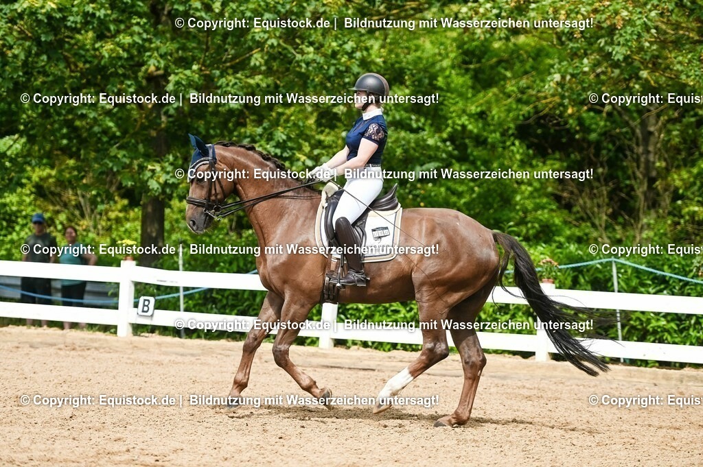 20230716_01_Dressurprüfung Kl.M_0367 | equistock