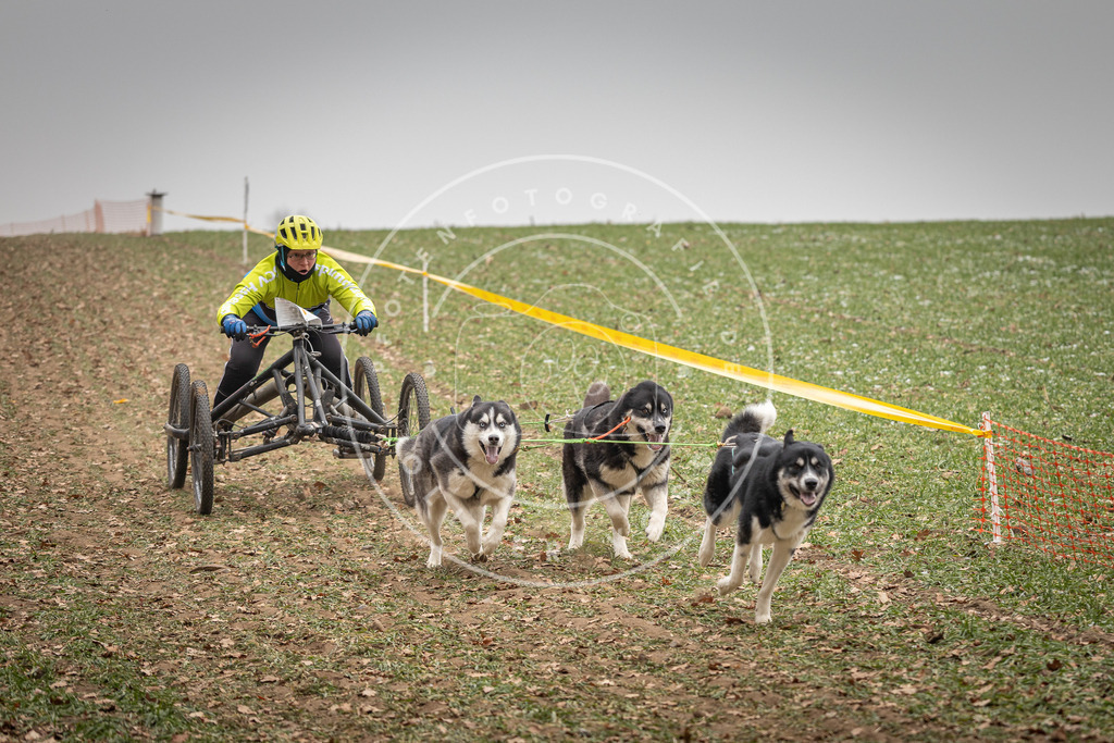 Pfotenfotografie_DV3A4649 | Hundefotografie, Tierfotograf, Pfotenfotografie, Fotoshooting Hund, Hunde Portrait, Hundesport, Hundeportraits, Heideshooting, Hunde, Sportfotograf, Hundefotograf, Turnierhundsport, THS,  - Realisiert mit Pictrs.com