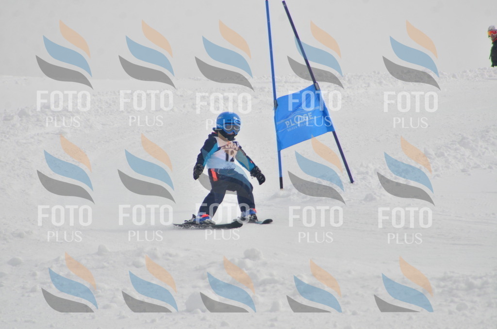 A5083 | holidayphoto