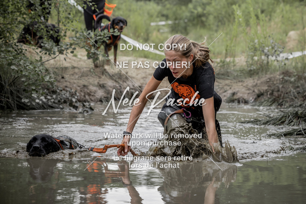 nelerasche_1400-1445_177 | nelerasche