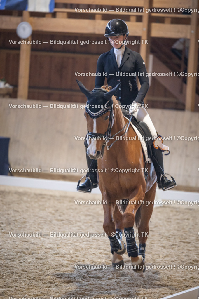 _D5A2036 | Emotionale Pferde- & People-Fotografie rund um Heidelberg, Leimen & Umgebung. Natürliche Fotos von Pferd, Mensch & Familie. Jetzt Termin sichern!