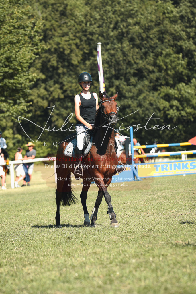 DSC_7452 | Pferde- und Turnierfotografie in Westsachsen. Pferdeportraits, Auftragszeichnungen und intuitive Kunst.