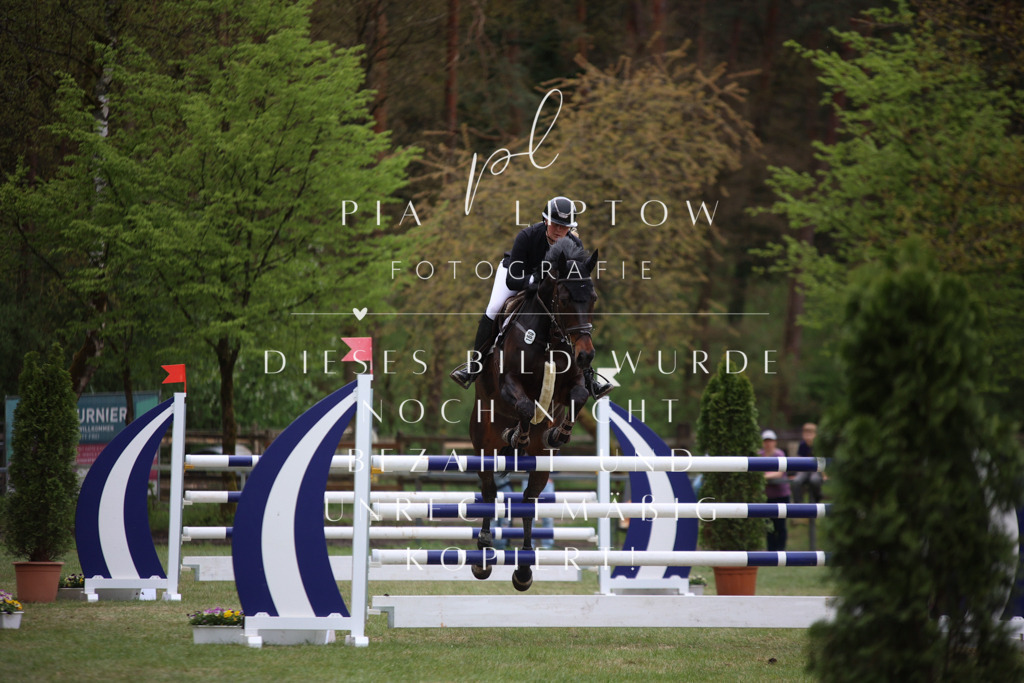 IMGT1739 | pl-fotografie