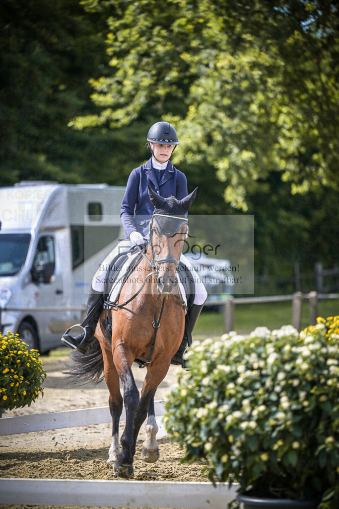 DOS_7626 | Entdecke hochwertige Reitturnierfotos von Foto Oger. Professionell, emotional und authentisch – jetzt Lieblingsmomente im Shop bestellen.Deutschlandweite Turnierfotografie. - Realisiert mit Pictrs.com