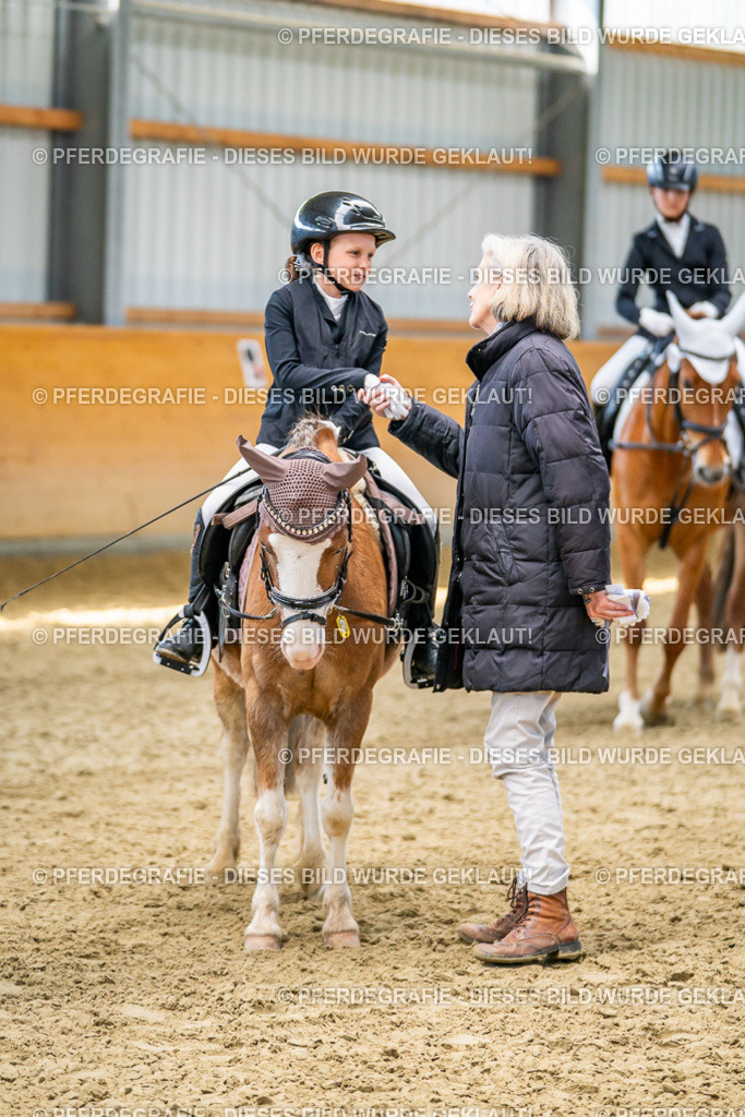 DSC03069 | Pferdegrafie