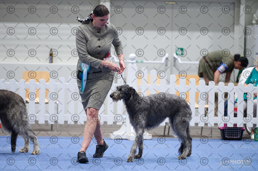 202406_ÖKV-IHA-Tulln24_DSC_3226 | proPHOTO - Realisiert mit Pictrs.com