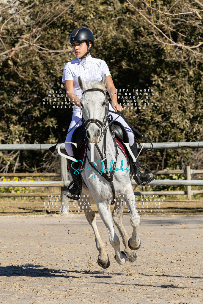 IMG_8343 | s-jay-photography - Realisiert mit Pictrs.com