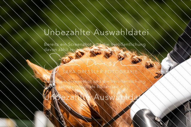 Bad_Meinberg_04093 | saradresslerfotografie - Realisiert mit Pictrs.com
