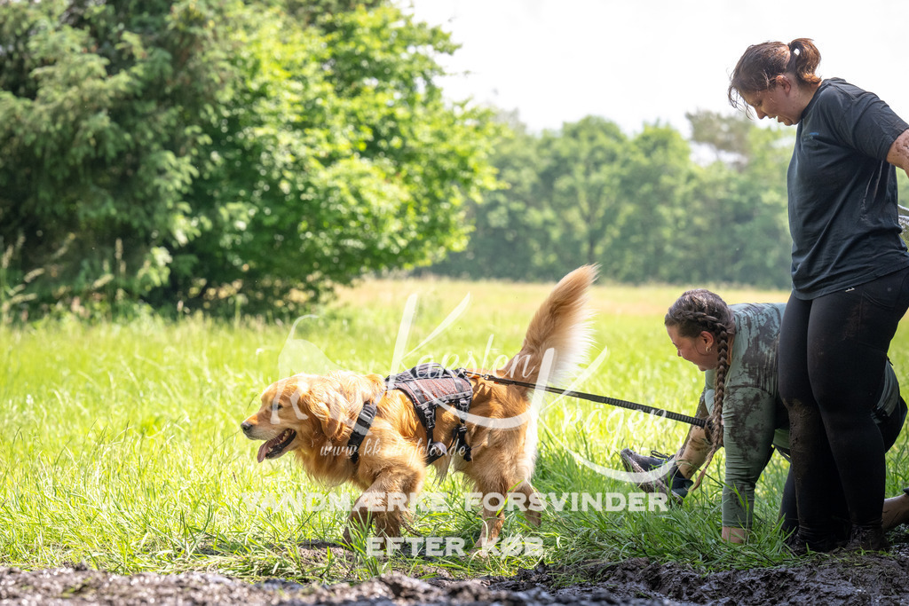 1159_ZZ90806 | kk-dogfotos