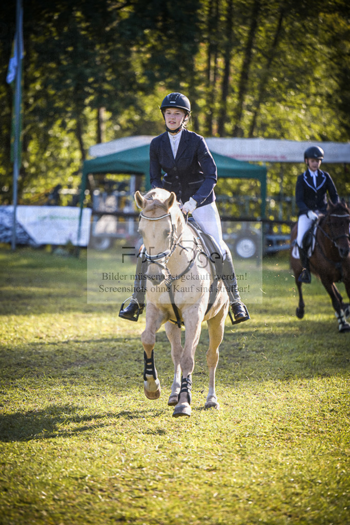 DOS_0037 | Entdecke hochwertige Reitturnierfotos von Foto Oger. Professionell, emotional und authentisch – jetzt Lieblingsmomente im Shop bestellen.Deutschlandweite Turnierfotografie. - Realisiert mit Pictrs.com