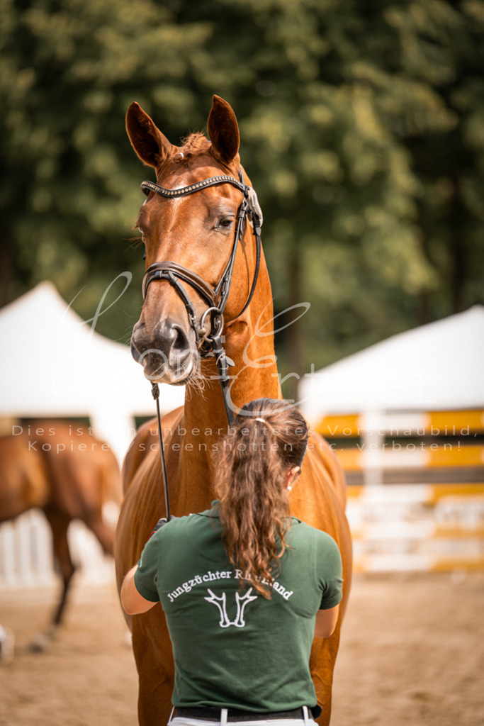 7.Fr00111 | Leoni Ertmer Photography - Realisiert mit Pictrs.com