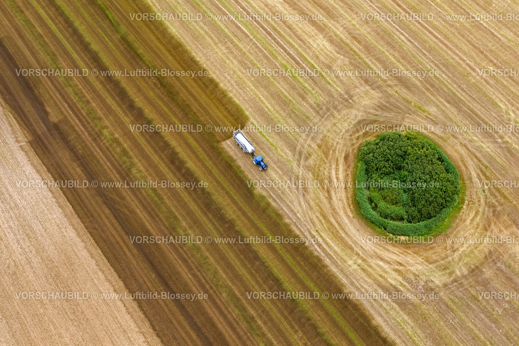 Stralsund12081656 | abgeerntetes Feld mit Wald und Wieseninsel, Trecker bringt Gülle aus, Gülletrecker, Emmision,  Lüssow, Ostsee, Mecklenburg-Vorpommern, Deutschland, Europa
