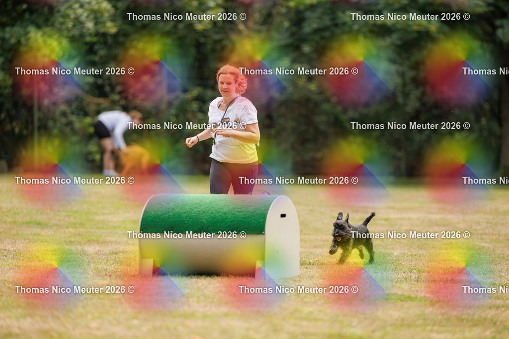 Thomas_Nico_Meuter(C)_22. August 2026_223A4785 | Bild von Thomas Nico Meuter - Realisiert mit Pictrs.com