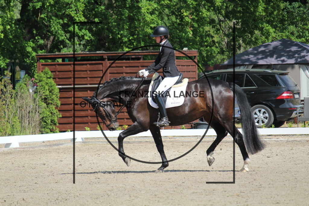 IMG_3390 | franziskalange - Realisiert mit Pictrs.com