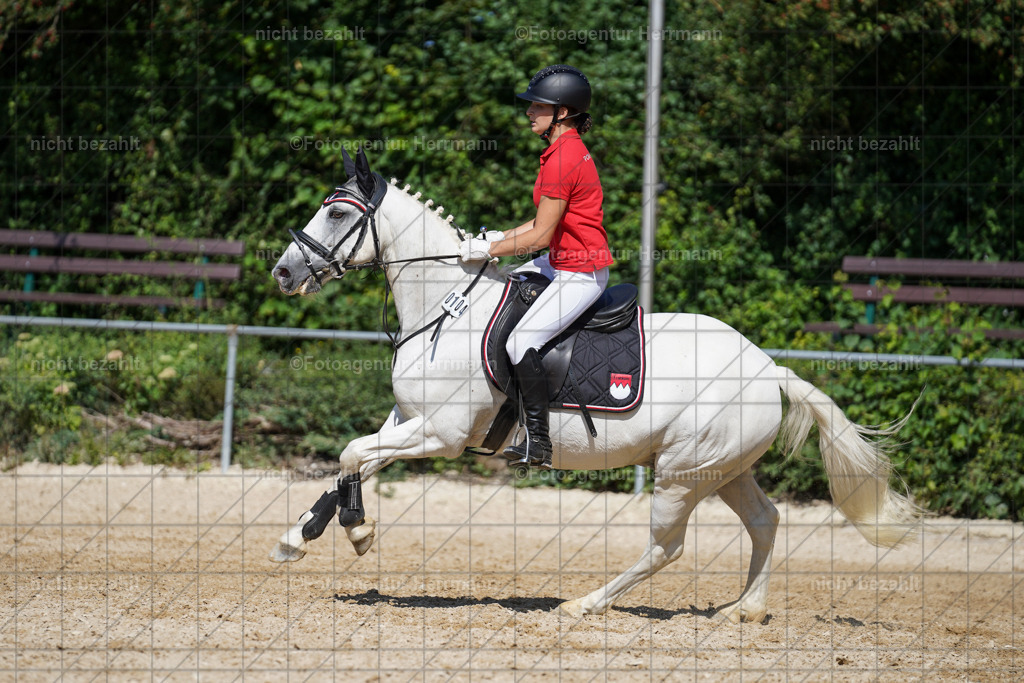 20240824-FAH08396 | Thierhaupten 2024, Bayerisches Landesponyturnier, Turnierbilder, Ponybilder, Turnierfotografen Bayern, Fotoagentur Herrmann